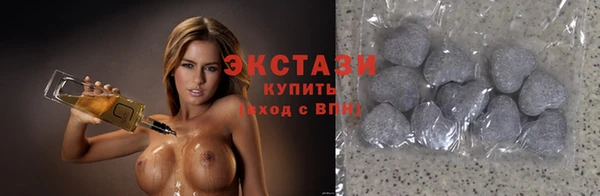 соль ск Дмитриев