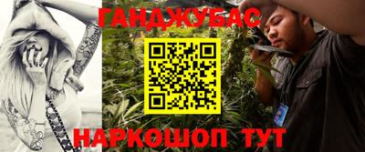 прущие грибы Можайск