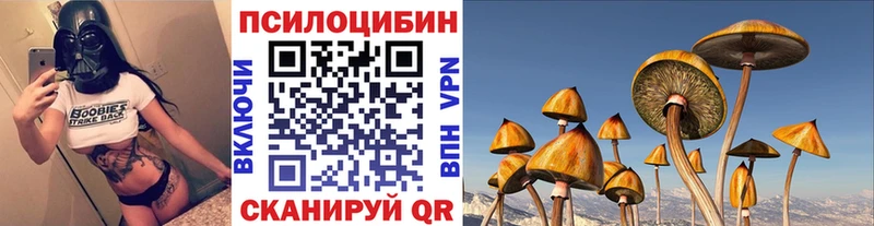 Псилоцибиновые грибы GOLDEN TEACHER  цена наркотик  Серпухов 