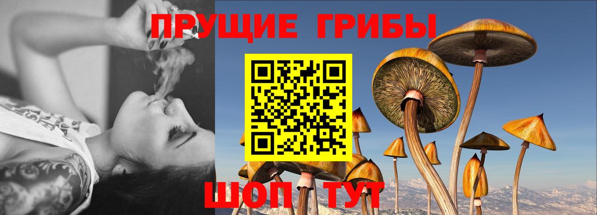 Серпухов  Галлюциногенные грибы ЛСД  Вход с VPN 